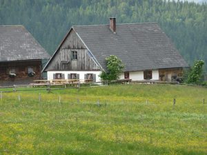 Ebenforstalm